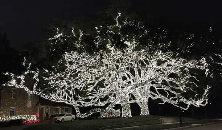 river-oaks-holiday-lights-walk