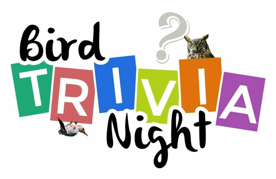 Bird Trivia Night at OKRA Charity Saloon - HTXoutdoors