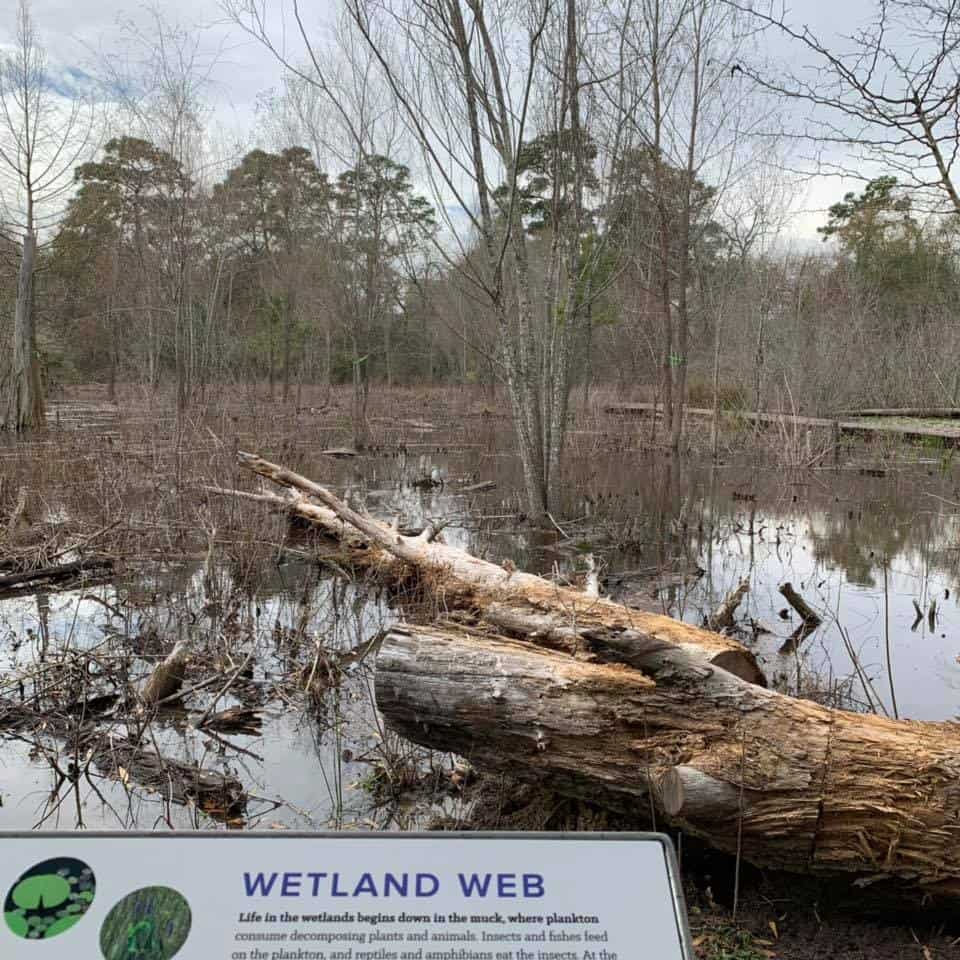 Walk at the Arboretum