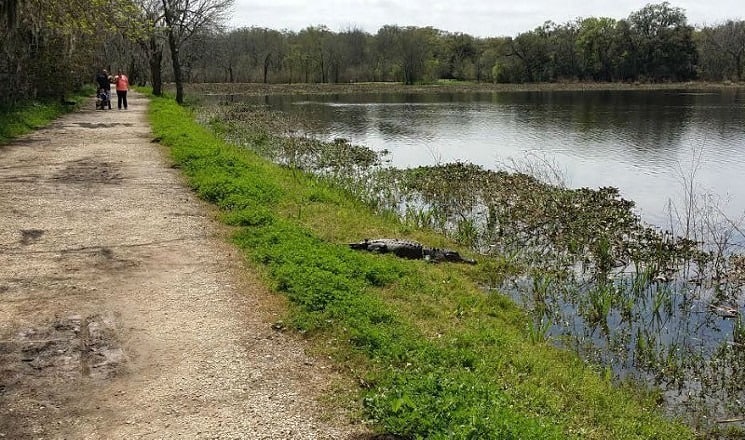 Hiking Brazos Bend State Park