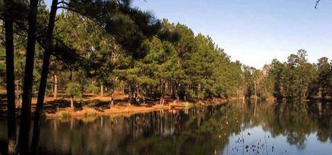 Hike the Lone Star Trail by the lake