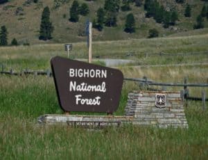 Wyoming, USA--July 2018: Roadside sign entering the Bighorn National Forest which covers over a million acres in Wyoming.