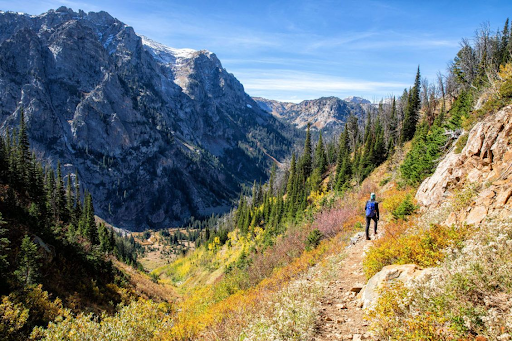 Grand Teton National Park